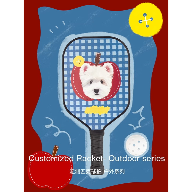 ZHAYA Pickleball Paddle T300 C - đánh giá và giá Sports Equipment Photos